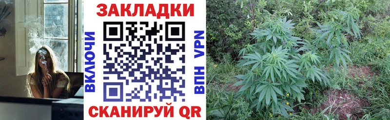 Сколько стоит Шуя МАРИХУАНА Меф мяу мяу Псилоцибиновые грибы ГАШИШ Кокаин APVP