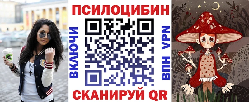 Галлюциногенные грибы Psilocybine cubensis Шуя