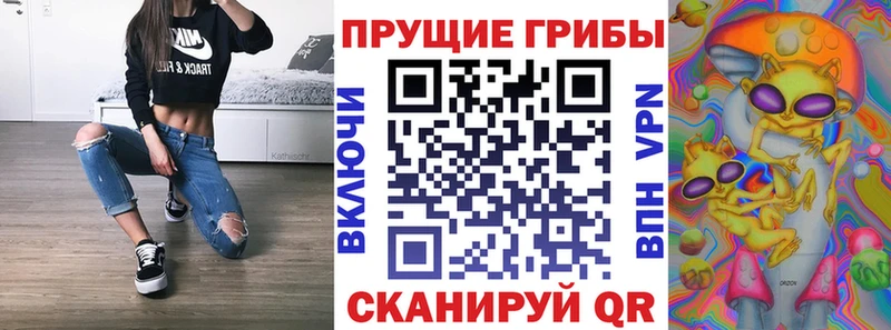 сколько стоит Шуя Псилоцибиновые грибы Magic Shrooms