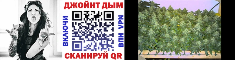 Каннабис Ganja где можно купить Шуя